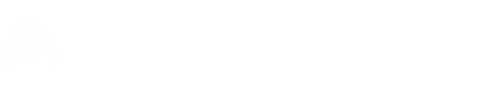 Bodi Insurance